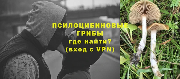 прущая мука Навашино